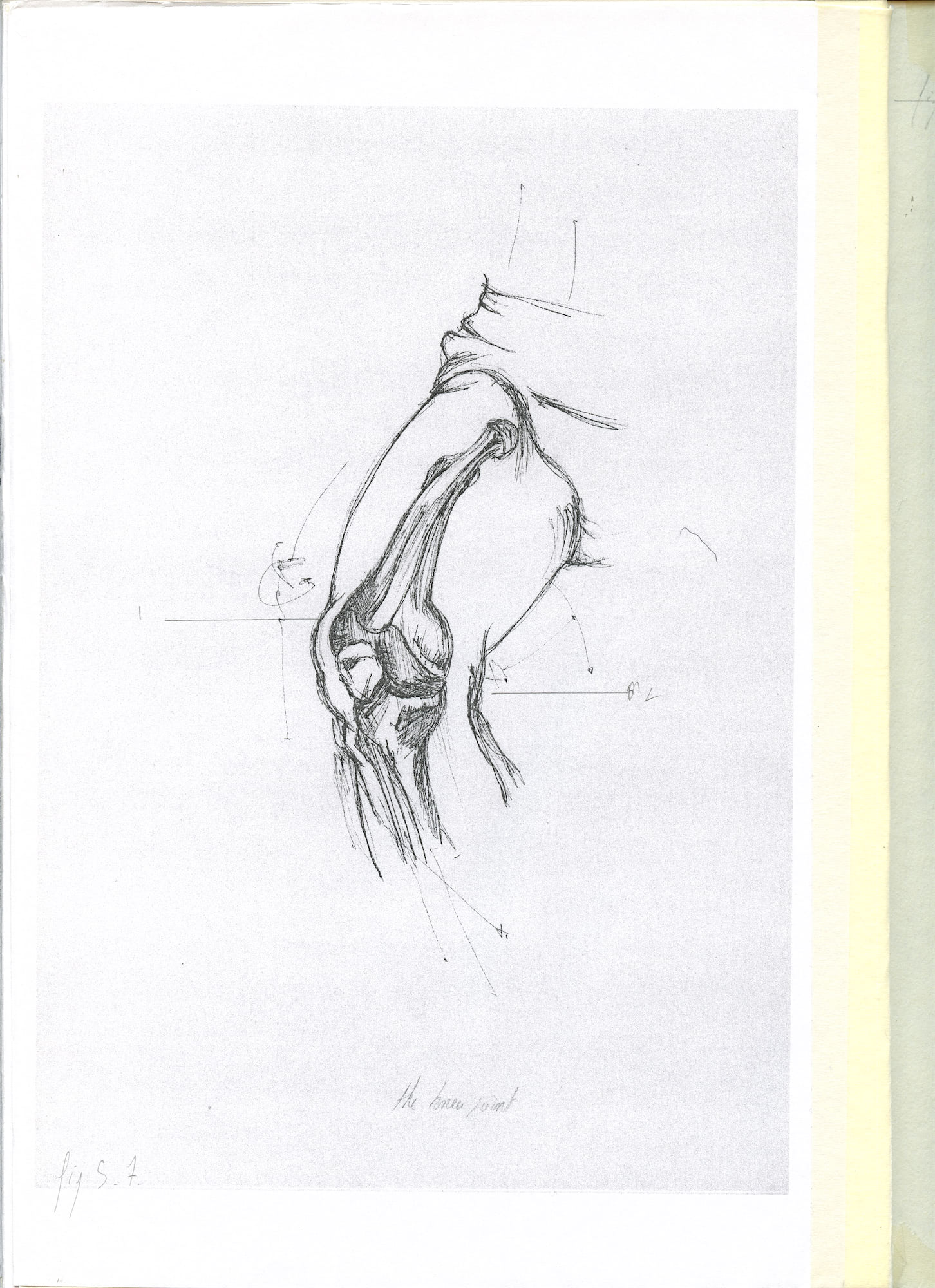 Opt_Anatomy-book-2-00029